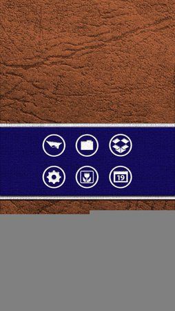 brown_leather_blue_ribbon_right.jpg