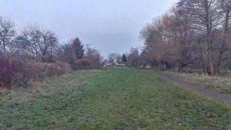 2012-11-17 16.27.09.jpg