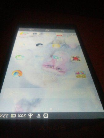 IMG_20130227_224406.jpg