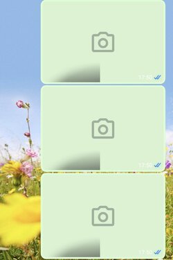 Screenshot_20250926_152827_WhatsApp.jpg