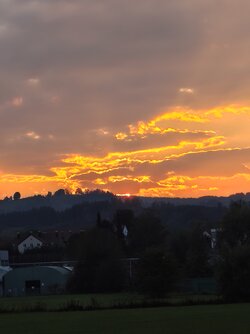 IMG_20250929_184746873.jpg