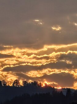 IMG_20250929_184653624~2.jpg