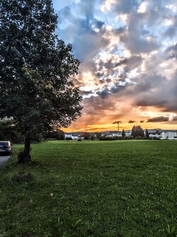 IMG_20250929_184630656~2.jpg