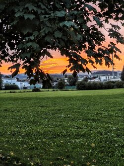 IMG_20250929_184819490~2.jpg