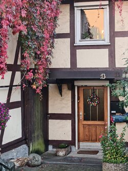 IMG_20250929_181253.jpg