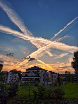 IMG_20250929_184203.jpg