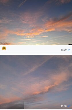 Screenshot_20250930_062329_WhatsApp.jpg
