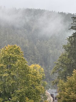 IMG_6731 2.jpeg