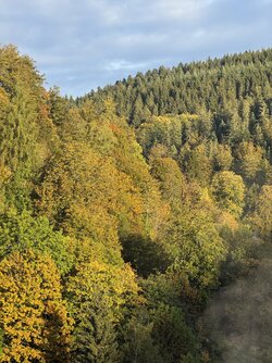 IMG_6896 2.jpeg