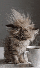 morning-morning-coffee.gif