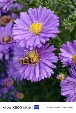 IMG_20250929_151623.jpeg