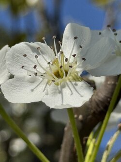 IMG_5587 2.jpeg