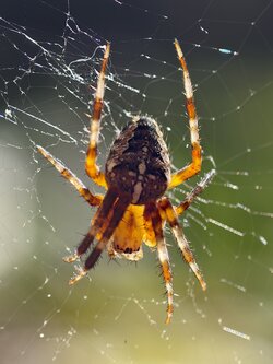 IMG_20250918_151408.jpeg IMG_20250918_151408.jpeg