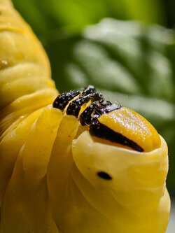 IMG_20250831_145939.jpeg IMG_20250831_145939.jpeg