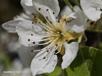 IMG_20230418_163842.jpg IMG_20230418_163842.jpg