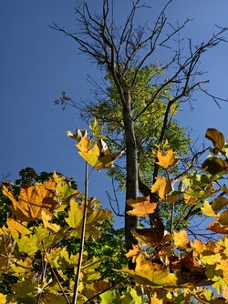 IMG_20250930_140238.jpg