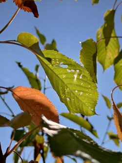 IMG_20250930_135813.jpg