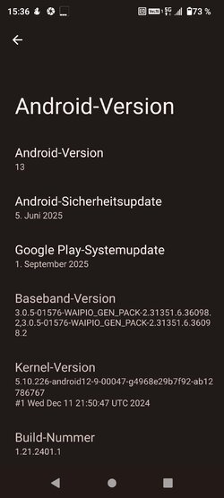 Screenshot_2025-09-30_153636.jpg