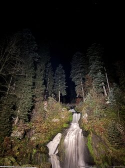 IMG_0939 2.jpeg