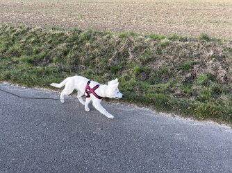 IMG_4120.jpeg