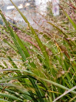 IMG_20250930_162018743~2.jpg