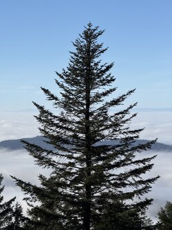IMG_1963 2.jpeg