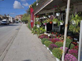 20250930_103120.jpg
