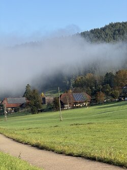 IMG_1123 2.jpeg