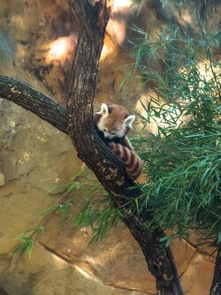 IMG20250927150852 (1).jpg