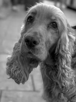 IMG20251001175403_01 (1).jpg