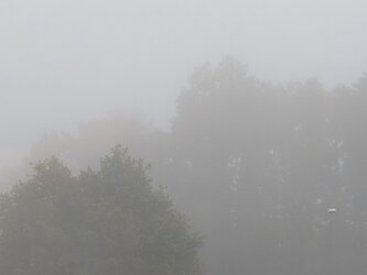 1000074922.jpg