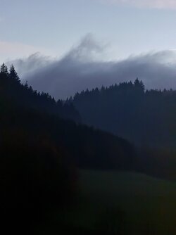 IMG_2534 2.jpeg