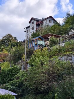 IMG_20250930_131950.jpg