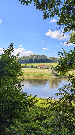 IMG_20250930_123442.jpg