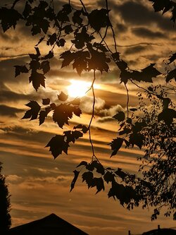 IMG_20250929_180546.jpg