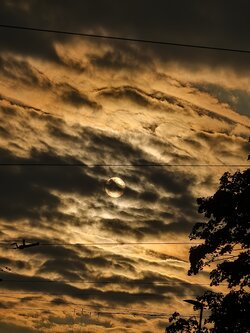 IMG_20250929_175754.jpg