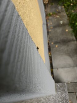 IMG_20250928_133355.jpg