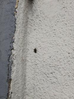IMG_20250928_124657.jpg