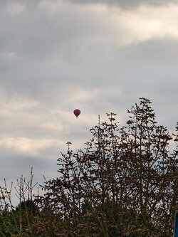 IMG_20250927_170607.jpg