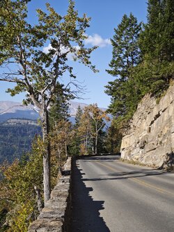 IMG_20250926_102910.jpg