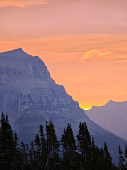 MVIMG_20250927_072253.jpg