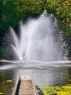 IMG_20251002_132009.jpg