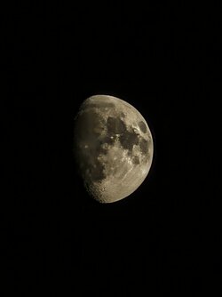 IMG_20251002_193301865~3.jpg