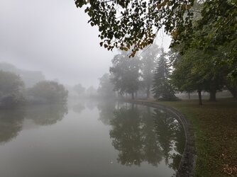 IMG_20251002_091603.jpg