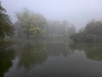 IMG_20251002_091342.jpg