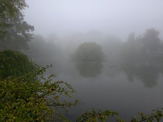 IMG_20251002_091003.jpg