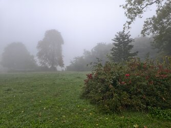 IMG_20251002_084651.jpg