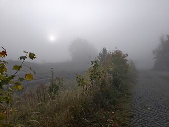 IMG_20251002_083913.jpg