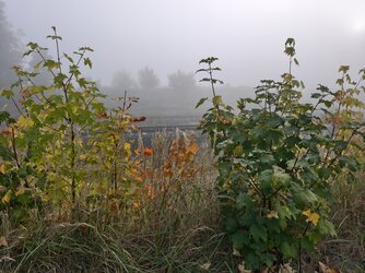 IMG_20251002_083851.jpg