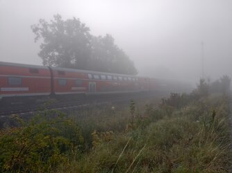 IMG_20251002_083806.jpg